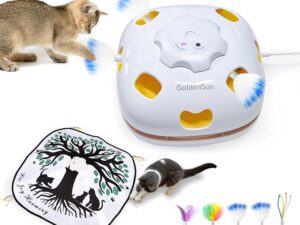 GoldenSun Cat Toy, 4-in-1 Interactive Kitten Toys for Indoor Cats Self Play, Chargeable Hide and Seek, Cat Wand Toy, Whack a Mole Exercise Cat Toys with 3Pcs DIY Replacement Feathers