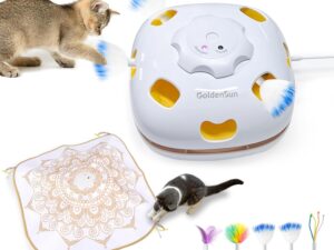 GoldenSun Cat Toy, Chargeable 4-in-1 Interactive Kitten Toys for Indoor Cats Self Play, Hide and Seek, Cat Wand Toy, Whack a Mole Exercise Cat Toys with 3Pcs DIY Replacement Feathers