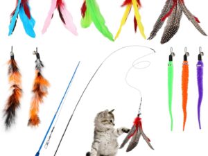 Hianjoo Cat Feather Teaser Set 12 pcs, Interactive Toys for Cats 2 Retractable Cat Wand Funny Sticks and 10 Replacement Feather Toys with Bell for Kitten Cat Catcher Having Fun Exercise Playing