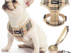 PUPTECK Dog Harness Small Dog Soft Mesh Pet Puppy Cat Comfort Padded Vest No Pull Harnesses and Lead Set