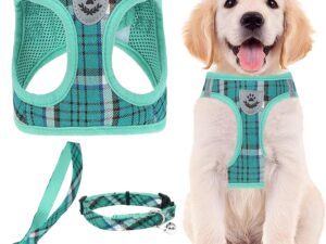 PUPTECK Dog Harness Small Dog with Collar and Lead Set Step-in No Pull Puppy Cat Harnesses for Daily Walking, Green L