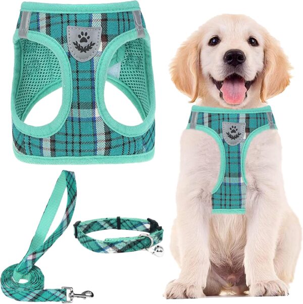 PUPTECK Dog Harness Small Dog with Collar and Lead Set Step-in No Pull Puppy Cat Harnesses for Daily Walking, Green L