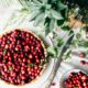 can dogs eat cranberries
